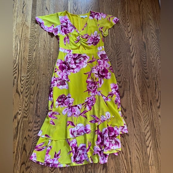 Great Jones garden party toile flutter dress 6 never worn nwot sample